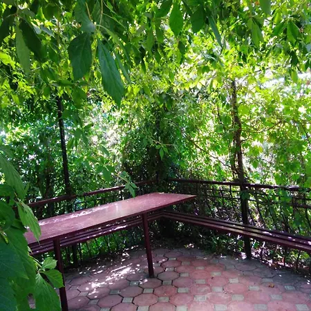 дом в 300 метров от моря,участок,вид на море. * Οδησσός